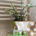 Appartement Verdemare *